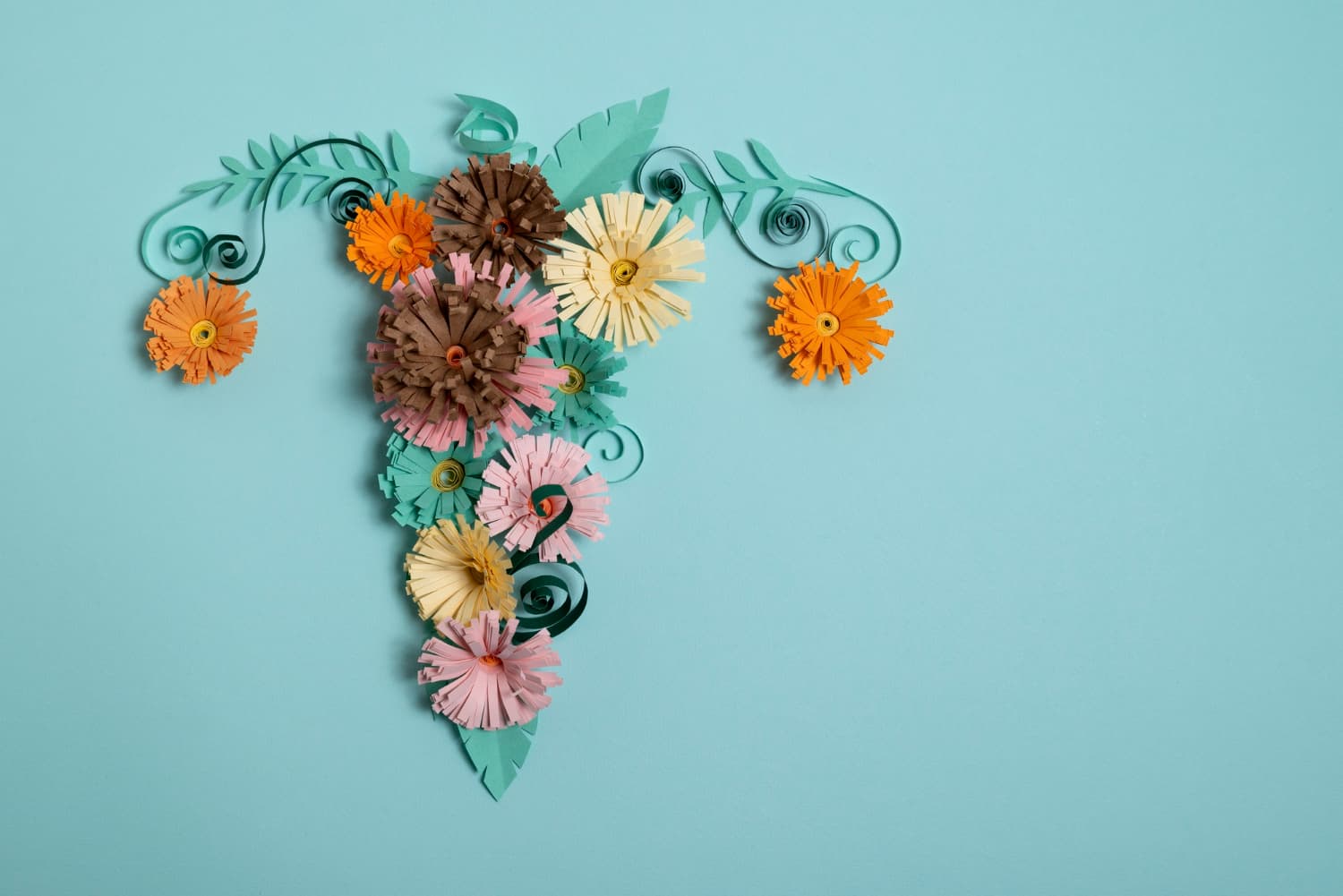 Understanding Vaginal Rejuvenation: What You Need to Know