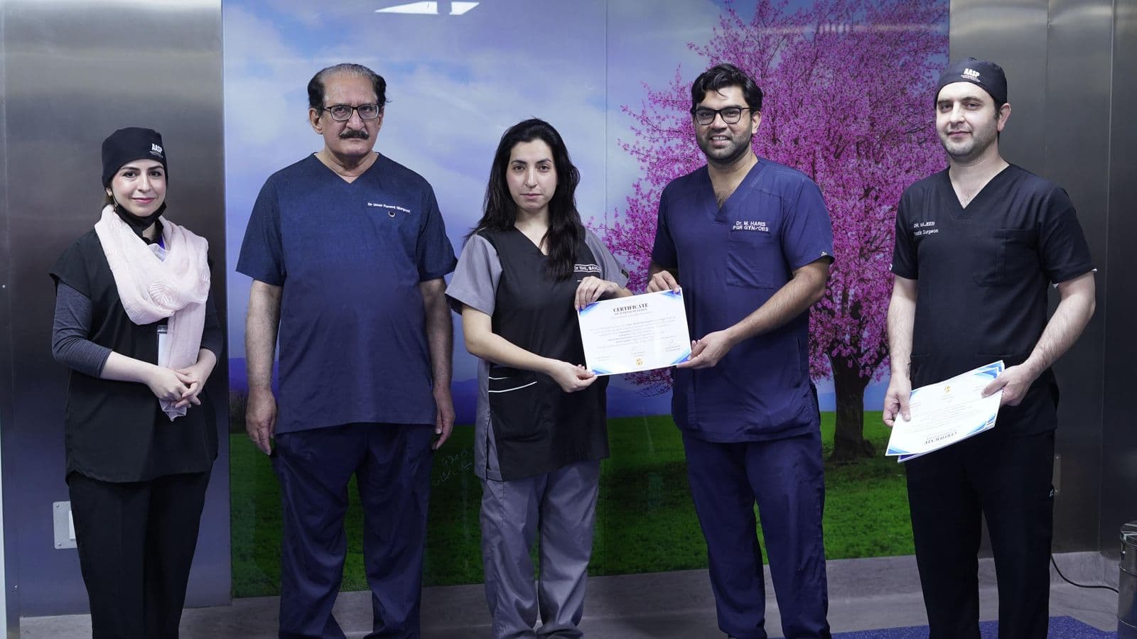 GynaeSculpt past workshop 4